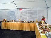 raut podzim 2008 07
